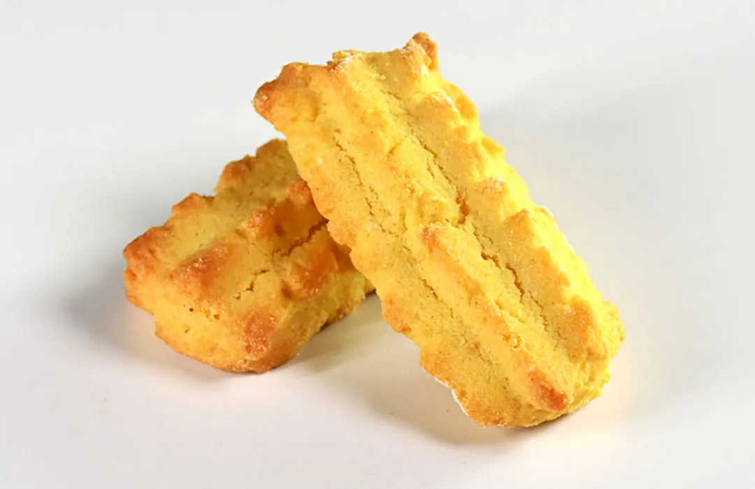 LAGARTOS